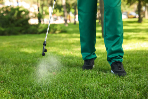 Reliable Palos Verdes Estates, CA Pest Control Solutions