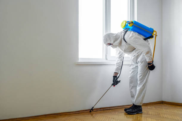 Best Mosquito Control Services  in Palos Verdes Estates, CA